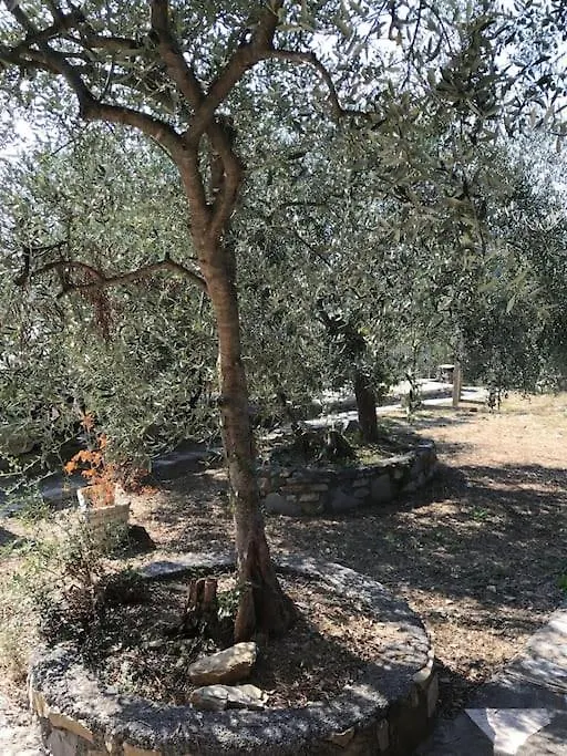 Villa Berio Cinque - Casetta Villa Viani 0*,  イタリア