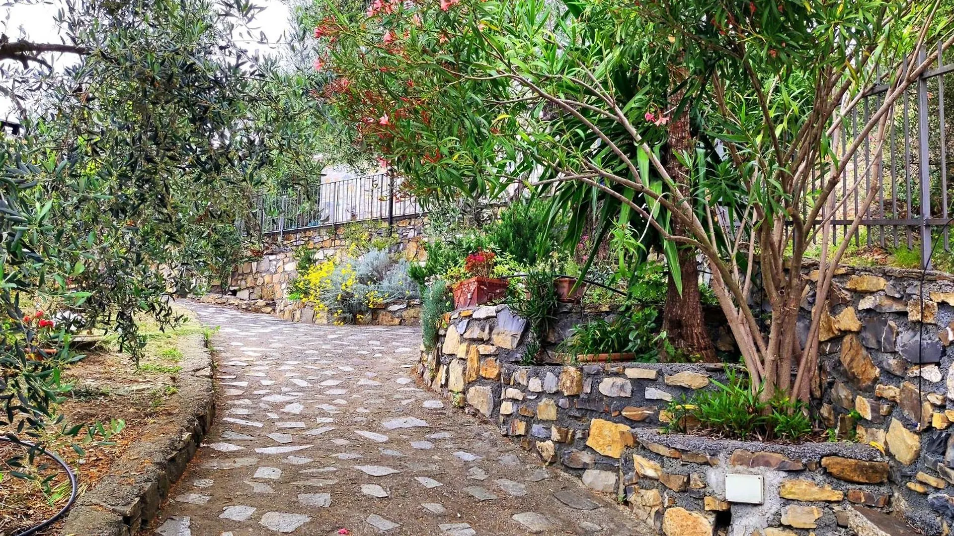 Villa Berio Cinque - Casetta Villa Viani アパート