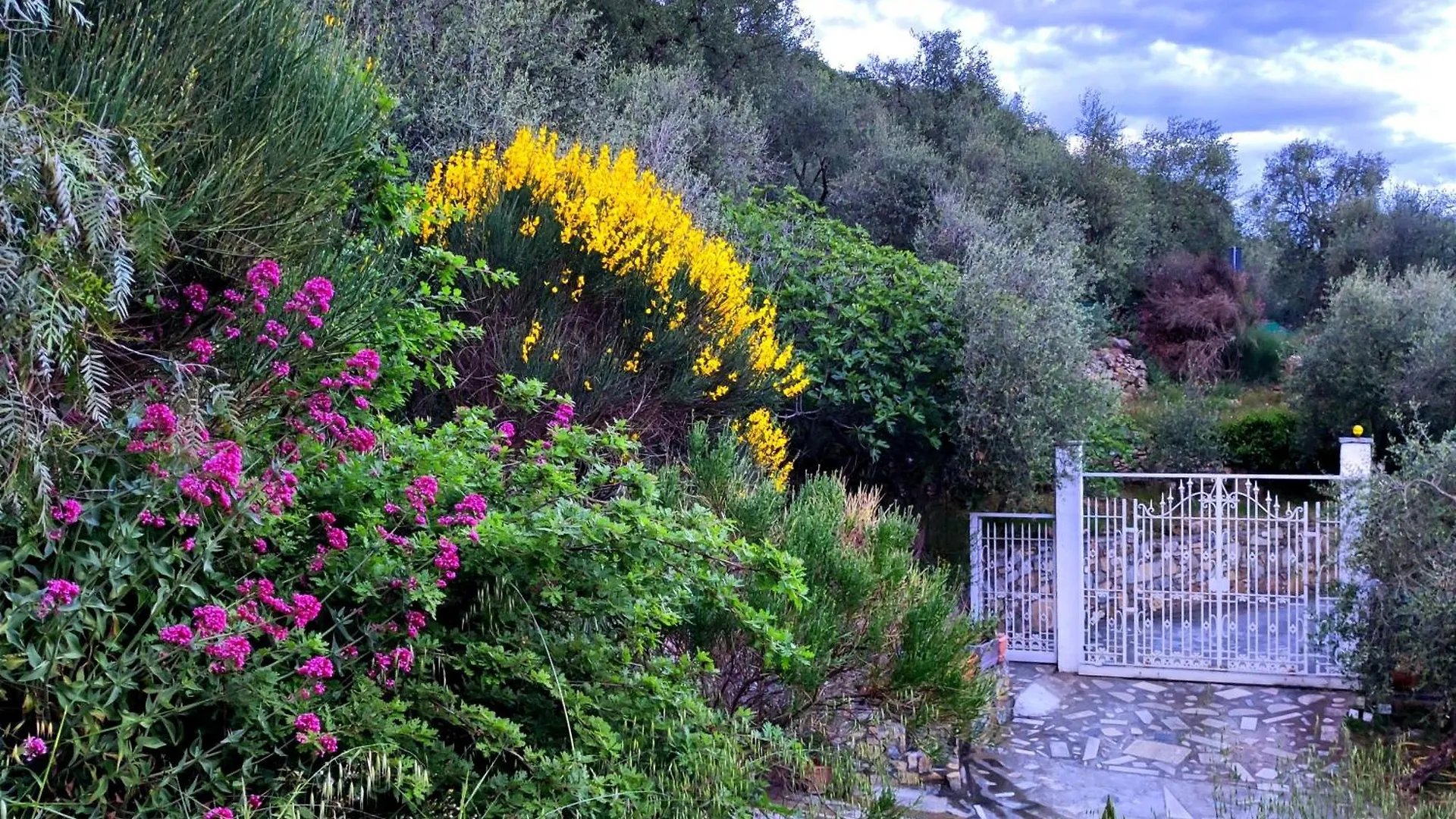 Villa Berio Cinque - Casetta Villa Viani