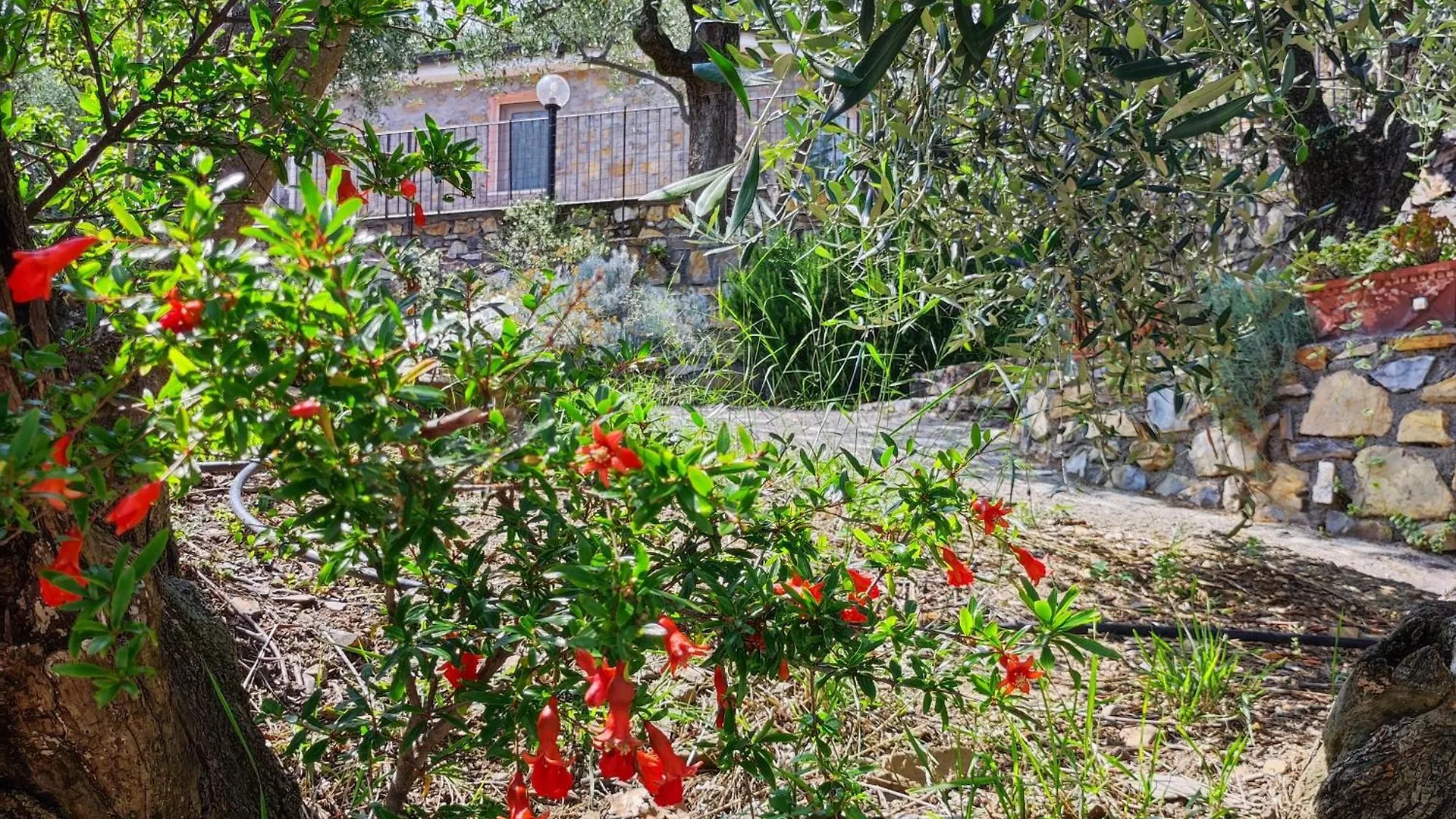 Villa Berio Cinque - Casetta Villa Viani イタリア